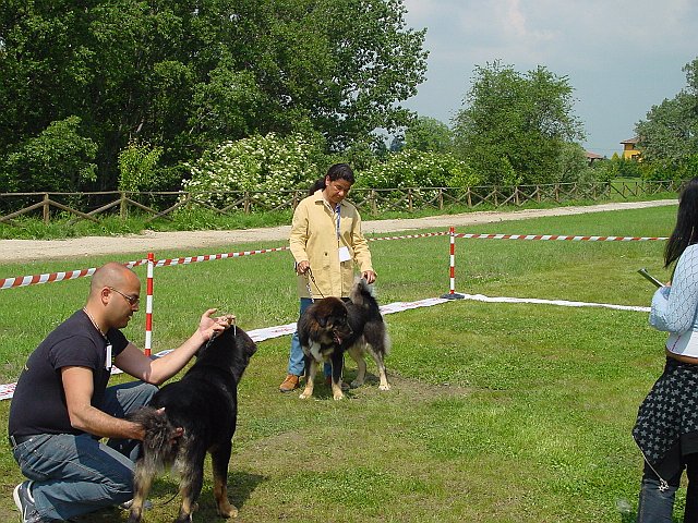 Immagine 074.jpg